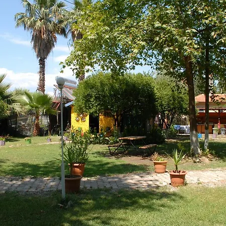 Domek letniskowy Camping