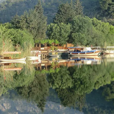 Camping דליאן