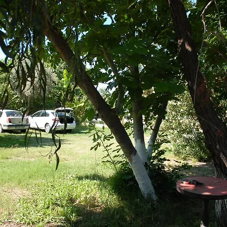 Lodge Camping
