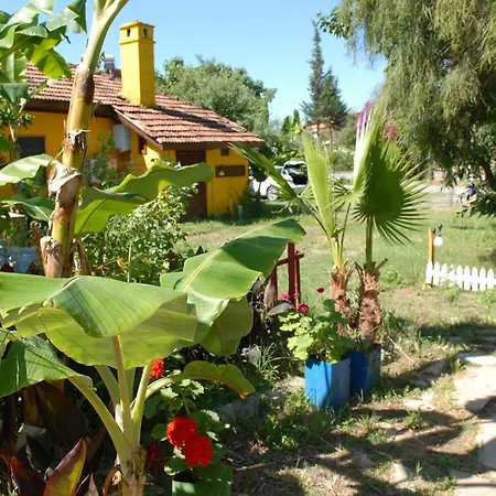 Domek letniskowy Camping *
