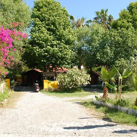 Lodge Camping