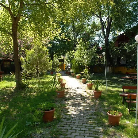 Domek letniskowy Camping *