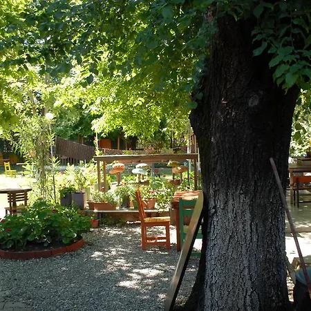 Domek letniskowy Camping *