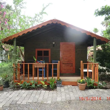 Domek letniskowy Camping *