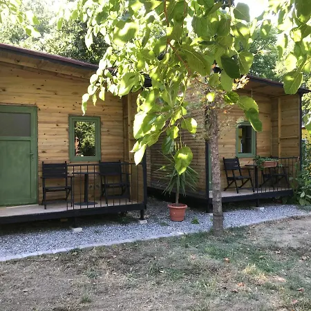 Lodge Camping
