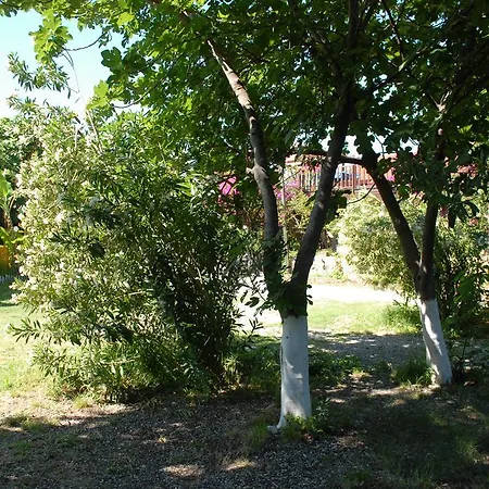 Jaktstuga Camping *