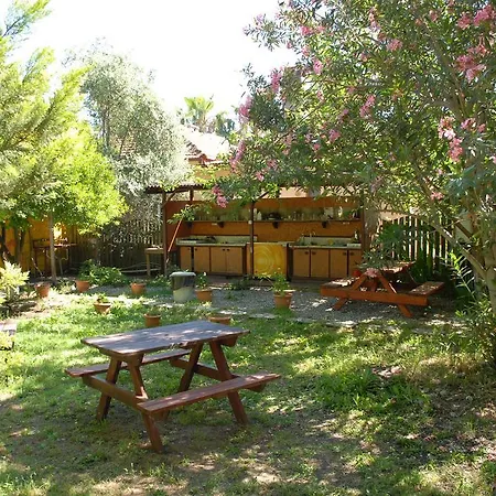 Lodge Camping
