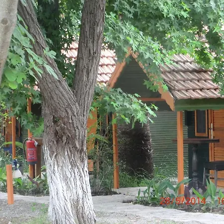 Camping Lodge *